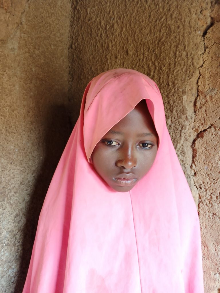 Minister of Environment visits Emir of Zazzau