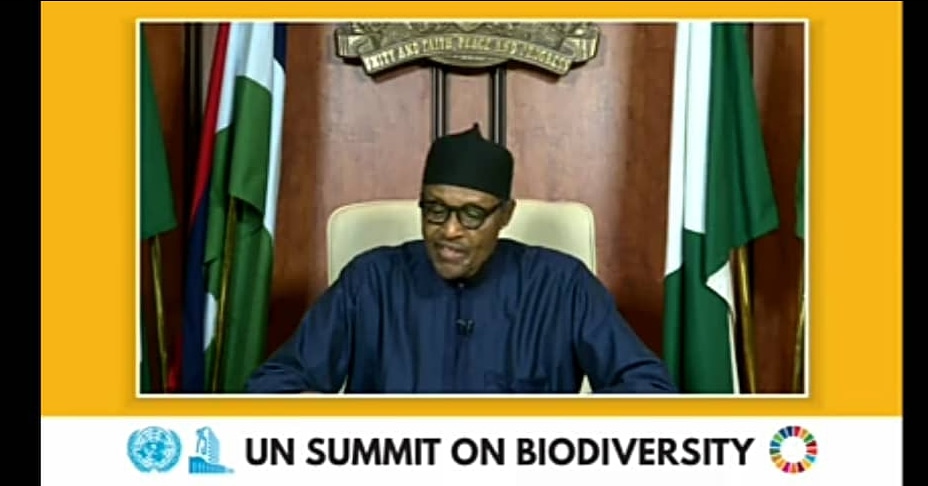 UN SUMMIT: President Buhari outlines key measures to reverse biodiversity loss in Nigeria.