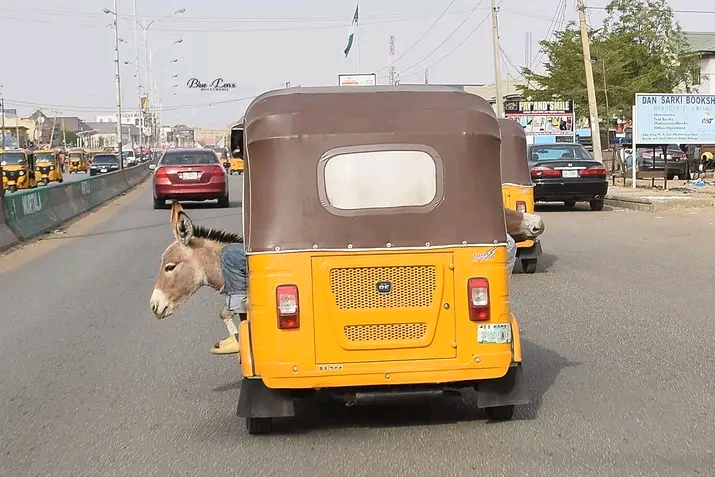 Matuƙa Adaidaita Sahu za su dawo biyan haraji a Kano.